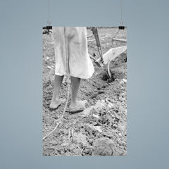 Alabama plow girl, near Eutaw, Alabama by Dorothea Lange poster 9
