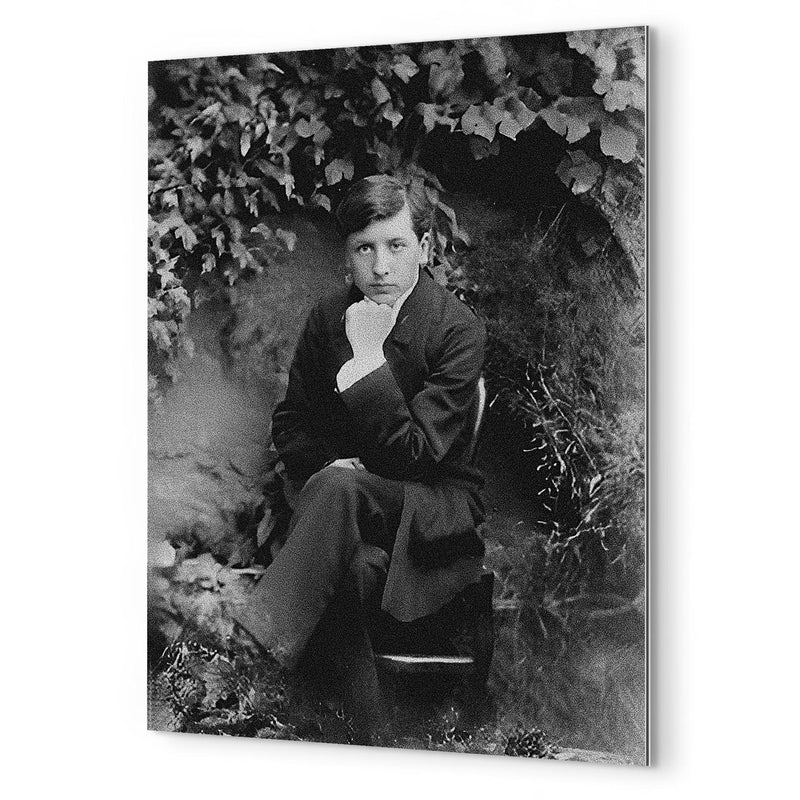 Alain-Fournier metal print mockup