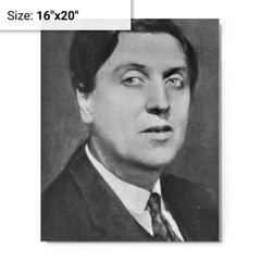 Alban Berg metal print on a plain backdrop in size 16"x20".