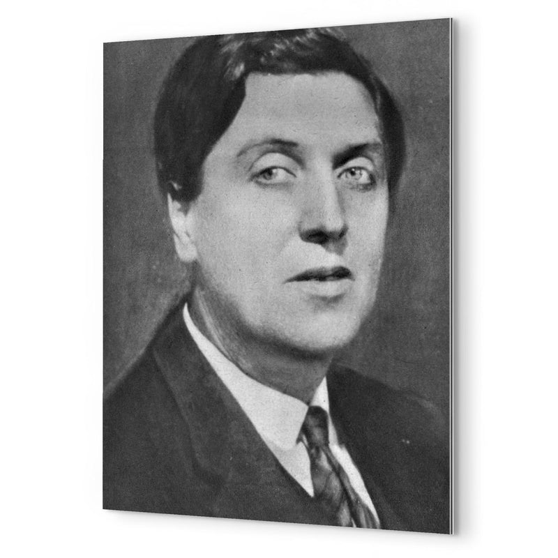 Alban Berg metal print mockup