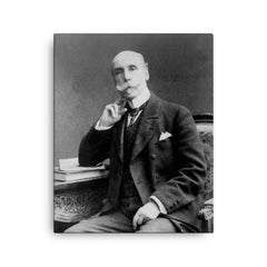 Alberto Blest Gana canvas print on a plain backdrop in size 16"x20".