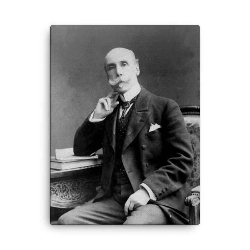 Alberto Blest Gana canvas print on a plain backdrop in size 18