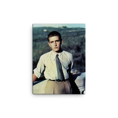 Alberto Marvelli canvas print on a plain backdrop in size 12"x16".