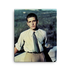 Alberto Marvelli canvas print on a plain backdrop in size 16"x20".