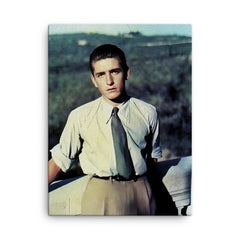 Alberto Marvelli canvas print on a plain backdrop in size 18"x24".