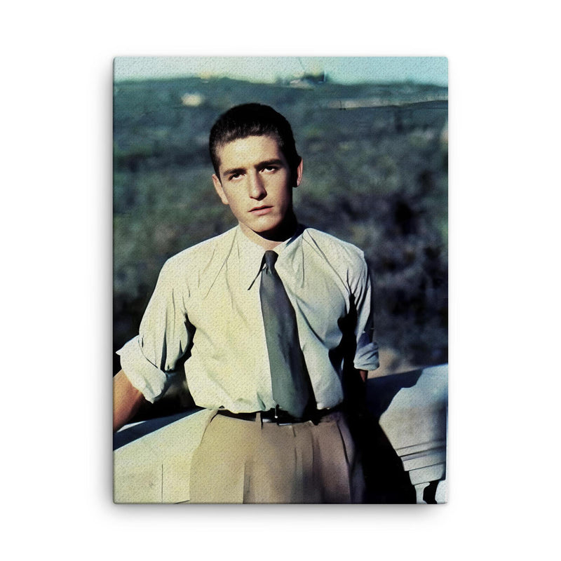 Alberto Marvelli canvas print on a plain backdrop in size 18