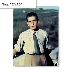 Alberto Marvelli metal print on a plain backdrop in size 12"x16".