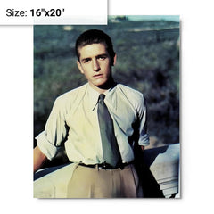 Alberto Marvelli metal print on a plain backdrop in size 16"x20".