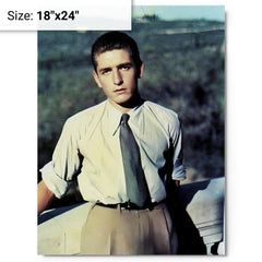 Alberto Marvelli metal print on a plain backdrop in size 18"x24".