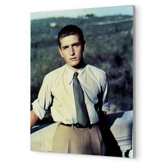 Alberto Marvelli metal print mockup