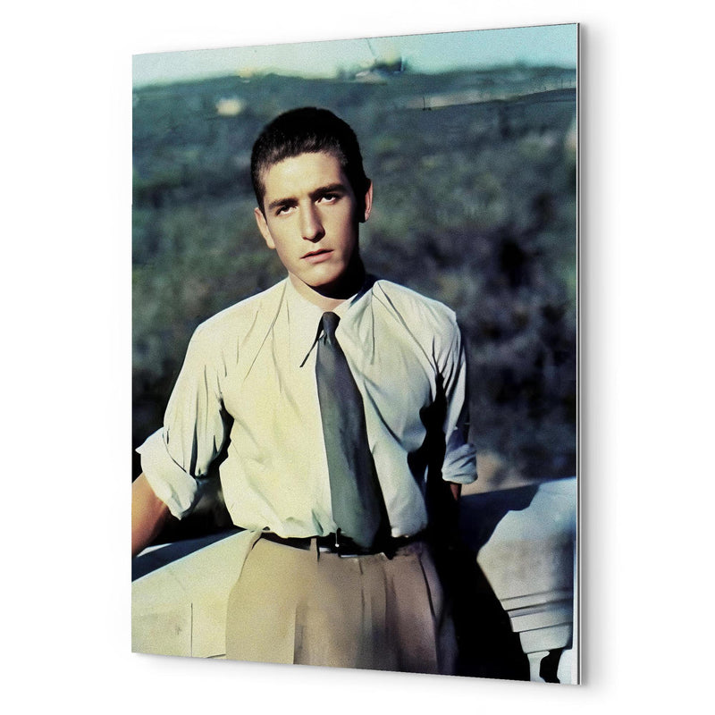 Alberto Marvelli metal print mockup