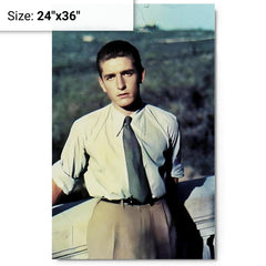 Alberto Marvelli metal print on a plain backdrop in size 24"x36".