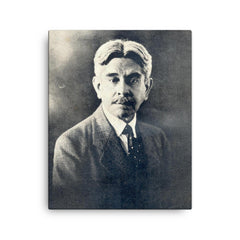 Alberto Masferrer canvas print on a plain backdrop in size 16"x20".