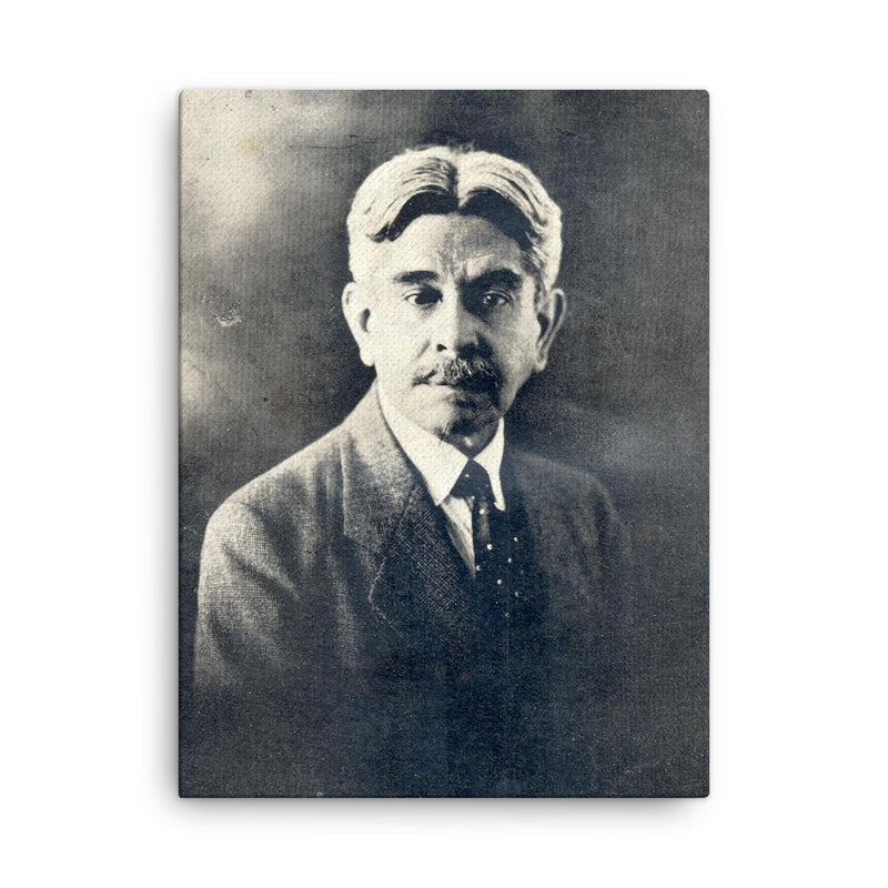 Alberto Masferrer canvas print on a plain backdrop in size 18