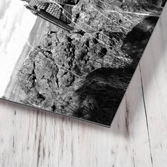 Aldo Leopold metal print mockup