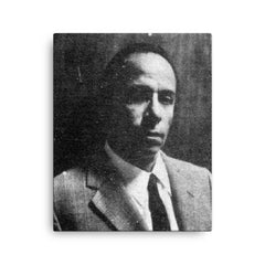 Alejandro Romualdo canvas print on a plain backdrop in size 16"x20".