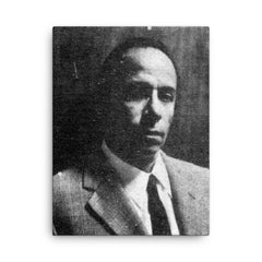 Alejandro Romualdo canvas print on a plain backdrop in size 18"x24".