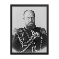 Alexander III of Russia framed print on a plain backdrop in size 18"x24".
