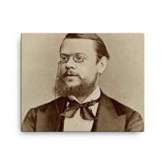 Alexander Ivanovich Urusov canvas print on a plain backdrop in size 16"x20".