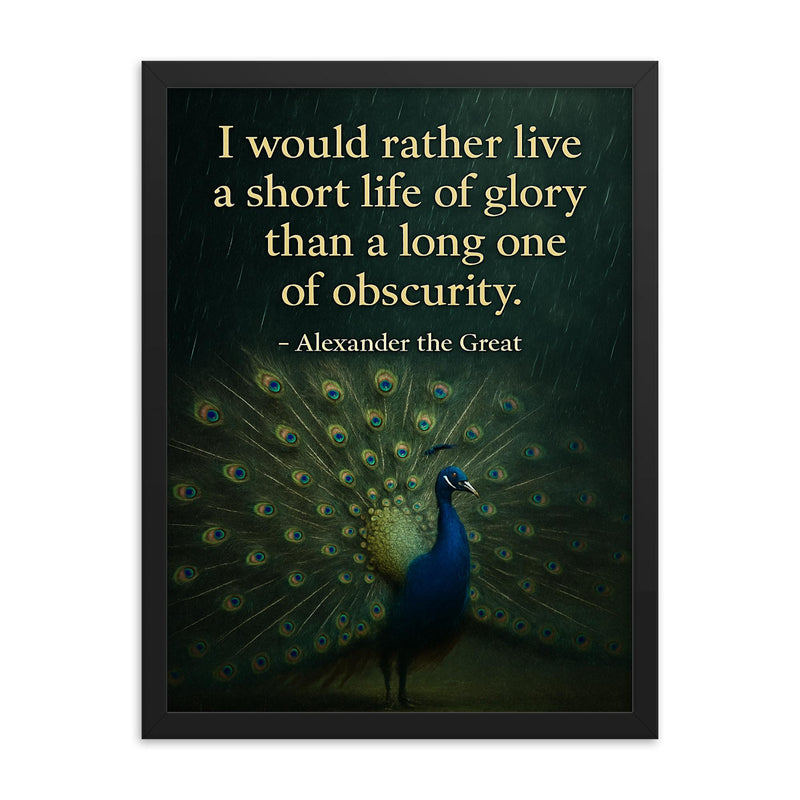 alexander the great short life of glory quote framed print on a plain backdrop in size 18