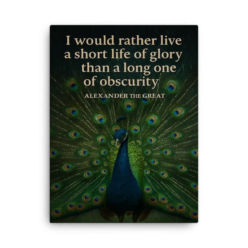 alexander the great short life of glory quote peacock canvas print on a plain backdrop in size 18