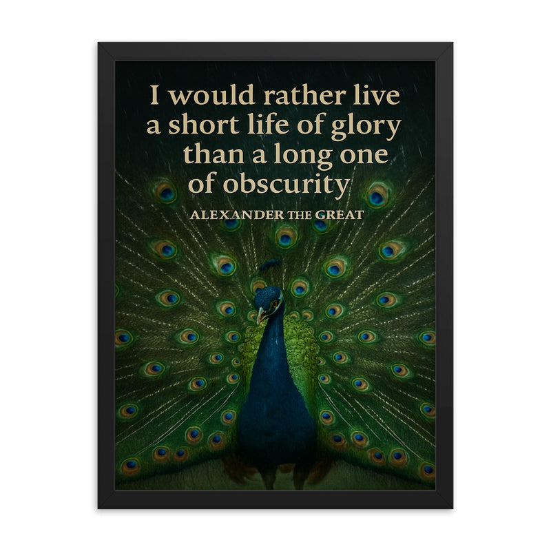 alexander the great short life of glory quote peacock framed print on a plain backdrop in size 18