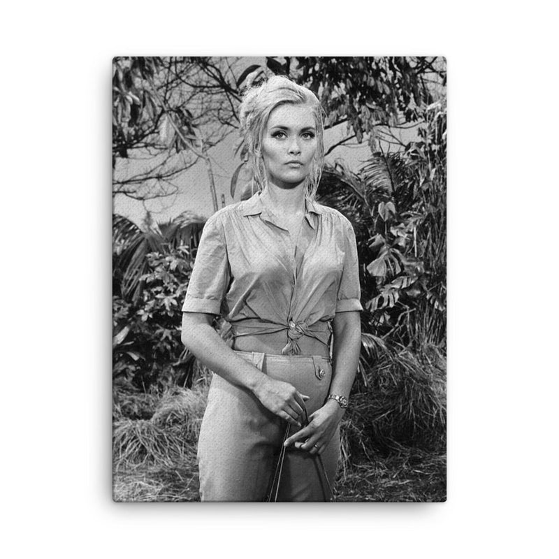 Alexandra Bastedo canvas print on a plain backdrop in size 18