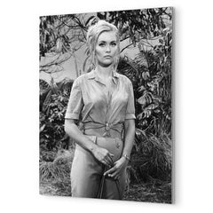 Alexandra Bastedo metal print mockup