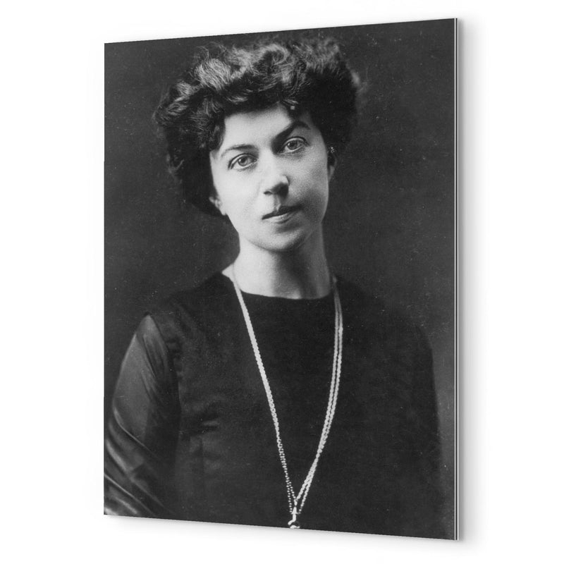 Alexandra Kollontai metal print mockup