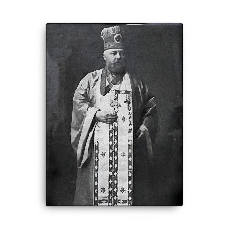 Alexis Toth canvas print on a plain backdrop in size 18