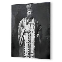 Alexis Toth metal print mockup