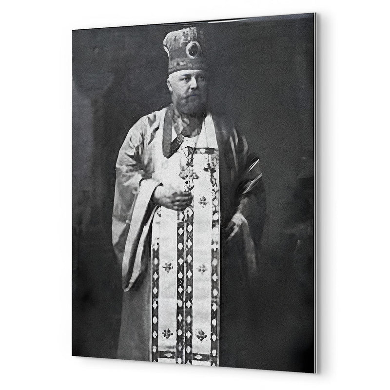 Alexis Toth metal print mockup