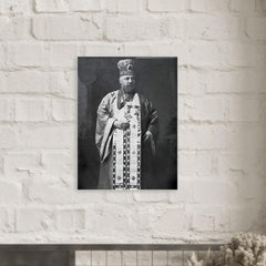 Alexis Toth metal print mockup