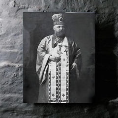 Alexis Toth metal print mockup