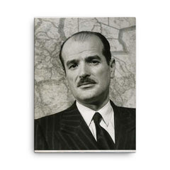 Alfonso Gumucio Reyes canvas print on a plain backdrop in size 18"x24".