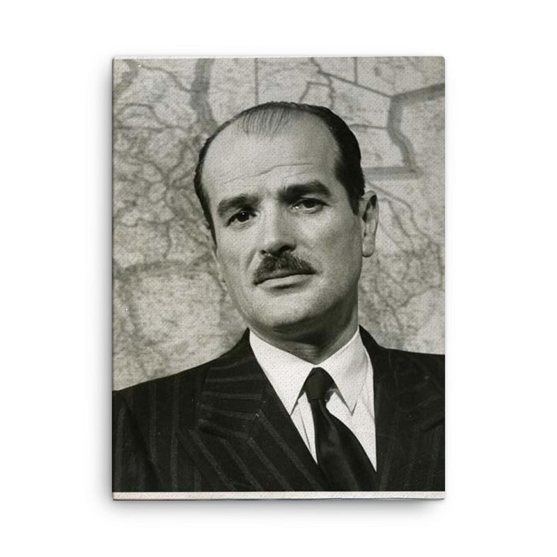 Alfonso Gumucio Reyes canvas print on a plain backdrop in size 18