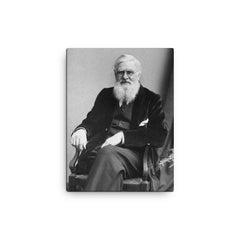 Alfred Russell Wallace canvas print on a plain backdrop in size 12"x16".