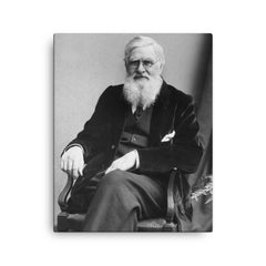 Alfred Russell Wallace canvas print on a plain backdrop in size 16"x20".