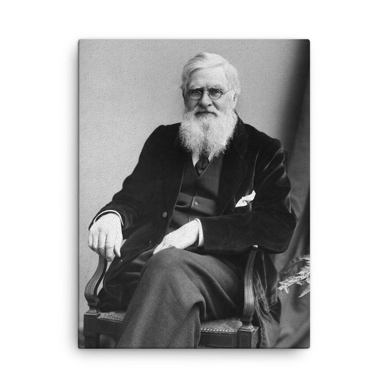 Alfred Russell Wallace canvas print on a plain backdrop in size 18