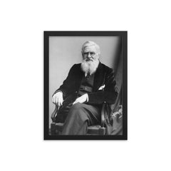 Alfred Russell Wallace framed print on a plain backdrop in size 12"x16".