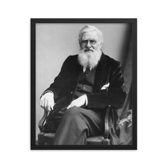 Alfred Russell Wallace framed print on a plain backdrop in size 16"x20".