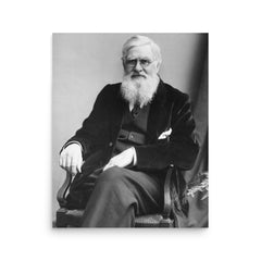 Alfred Russell Wallace poster on a plain backdrop in size 16"x20".