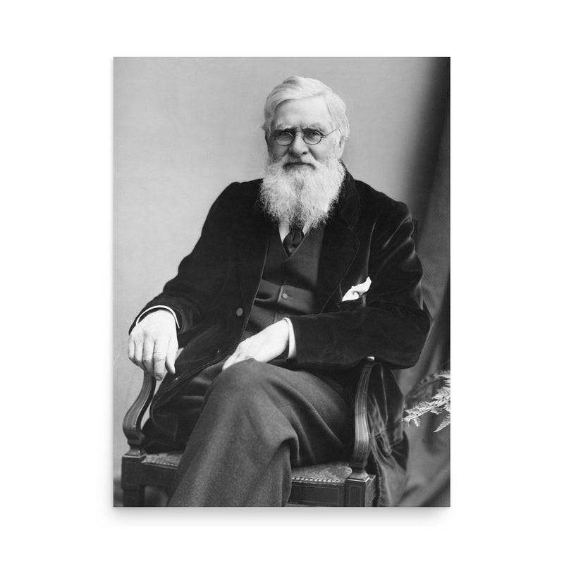 Alfred Russell Wallace poster on a plain backdrop in size 18