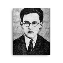 Alfredo Espino canvas print on a plain backdrop in size 16"x20".