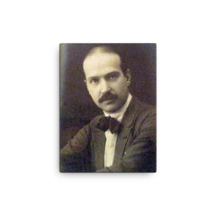 Alfredo Guttero canvas print on a plain backdrop in size 12"x16".