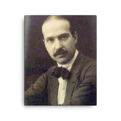 Alfredo Guttero canvas print on a plain backdrop in size 16"x20".