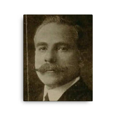 Alfredo Salafia canvas print on a plain backdrop in size 16"x20".