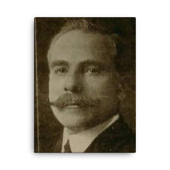 Alfredo Salafia canvas print on a plain backdrop in size 18"x24".