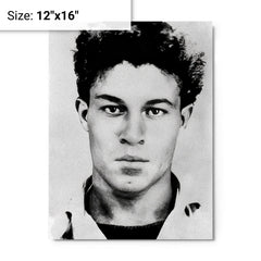 Ali La Pointe metal print on a plain backdrop in size 12"x16".