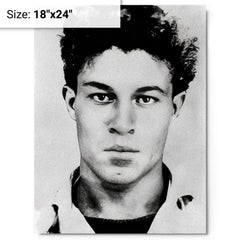 Ali La Pointe metal print on a plain backdrop in size 18"x24".